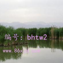 ѧϰ