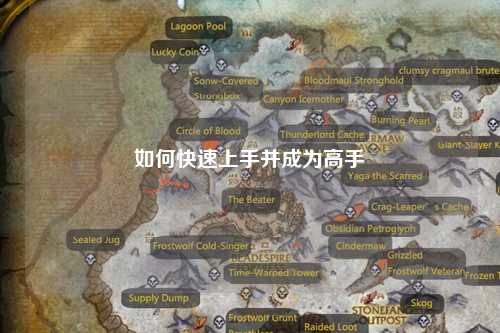 如何快速上手并成为高手