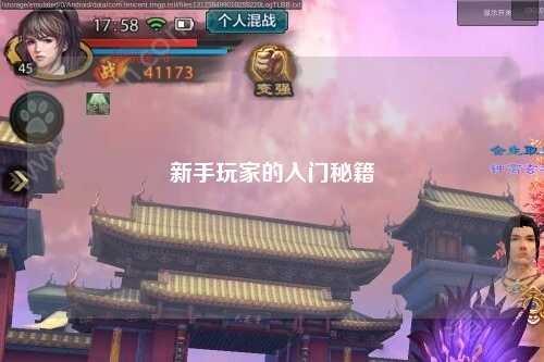 新手玩家的入门秘籍