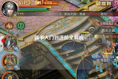 新手入门到进阶全解析