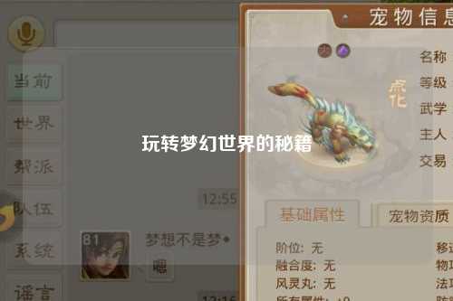 玩转梦幻世界的秘籍