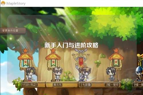 新手入门与进阶攻略