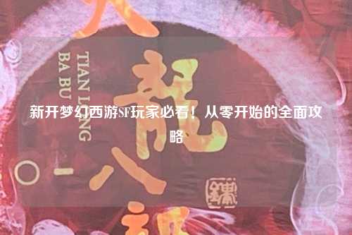 新开梦幻西游SF玩家必看!从零开始的全面攻略