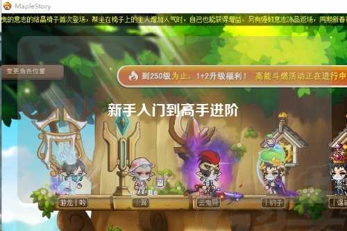 新手入门到高手进阶