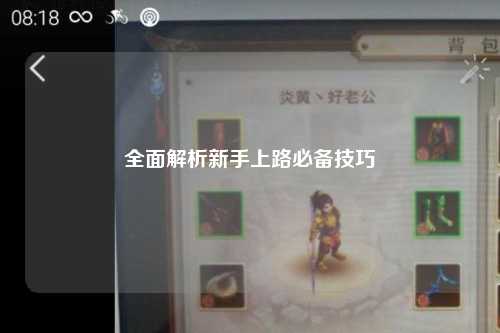 全面解析新手上路必备技巧