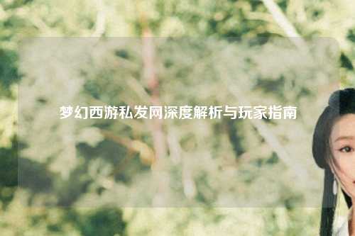 梦幻西游私发网深度解析与玩家指南