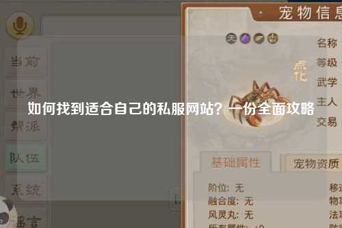如何找到适合自己的私服网站?一份全面攻略