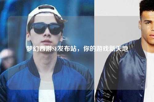 梦幻西游SF发布站,你的游戏新天地