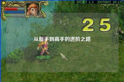 从新手到高手的进阶之路