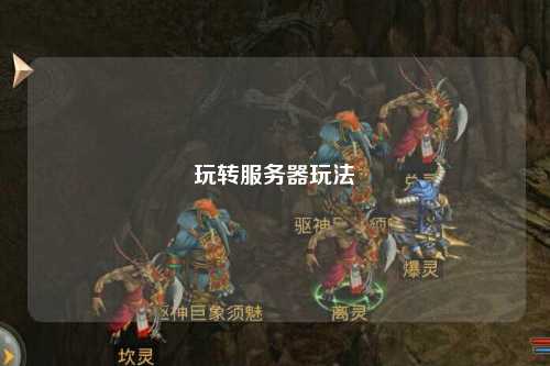 玩转服务器玩法