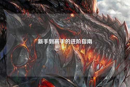 新手到高手的进阶指南