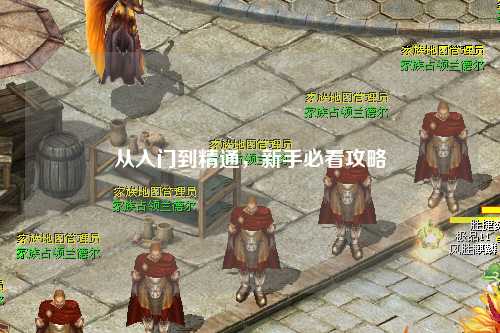 从入门到精通,新手必看攻略