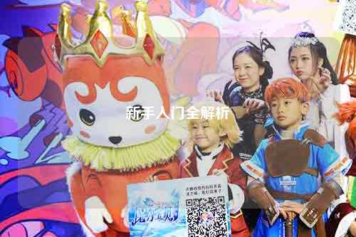 新手入门全解析