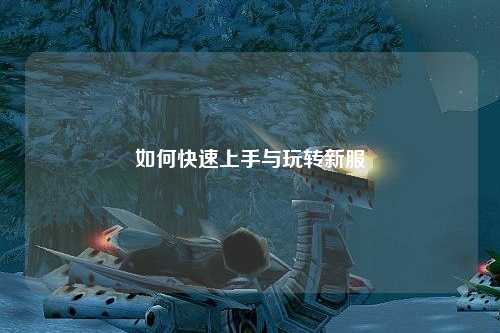 如何快速上手与玩转新服