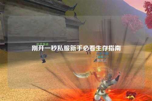 刚开一秒私服新手必看生存指南