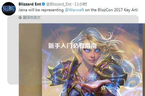 新手入门必看指南