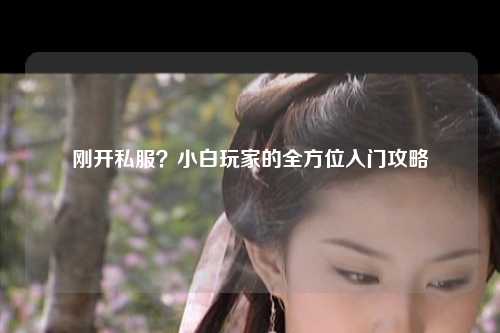 刚开私服?小白玩家的全方位入门攻略