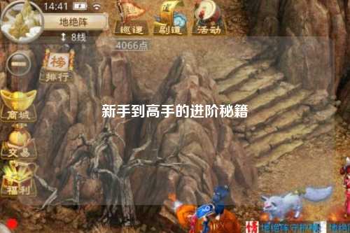 新手到高手的进阶秘籍