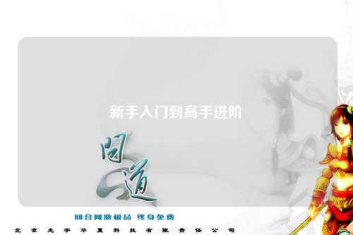 新手入门到高手进阶