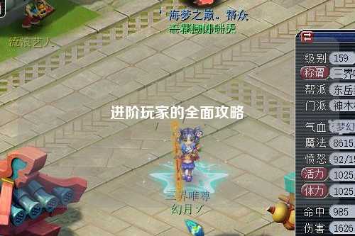 进阶玩家的全面攻略