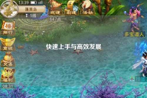 快速上手与高效发展