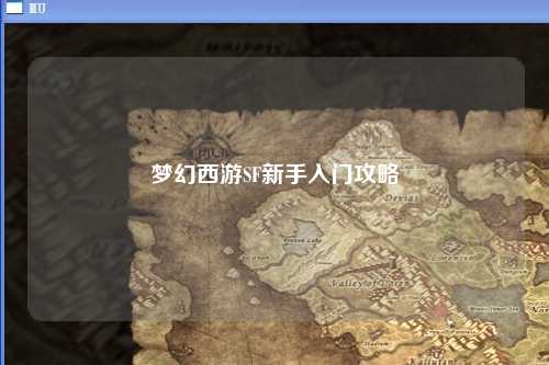 梦幻西游SF新手入门攻略