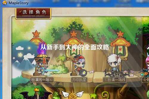 从新手到大神的全面攻略