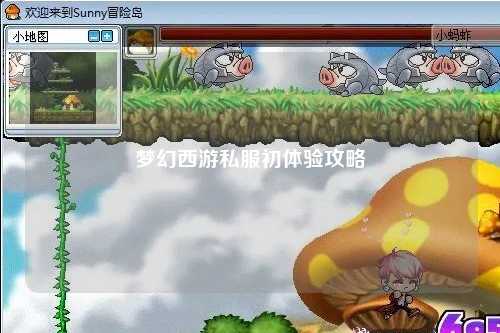 梦幻西游私服初体验攻略