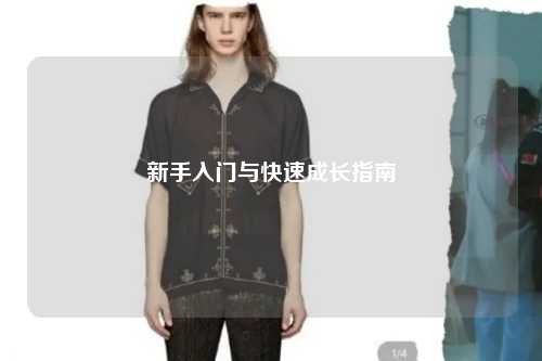 新手入门与快速成长指南