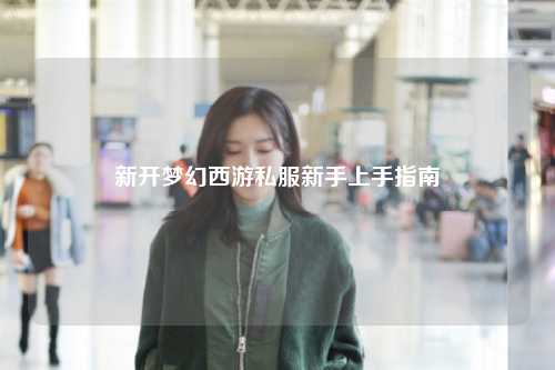 新开梦幻西游私服新手上手指南