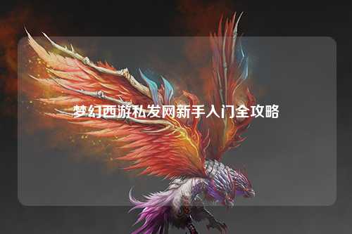 梦幻西游私发网新手入门全攻略