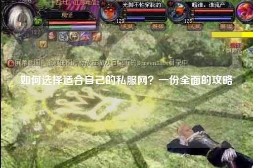 如何选择适合自己的私服网?一份全面的攻略