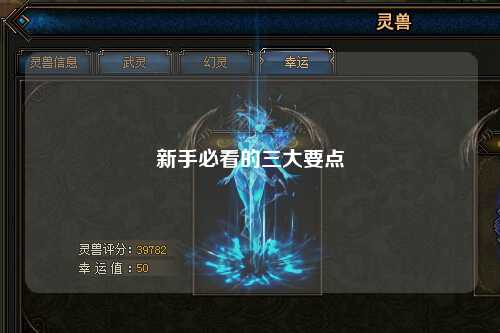 新手必看的三大要点