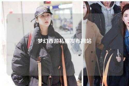 梦幻西游私服发布网站