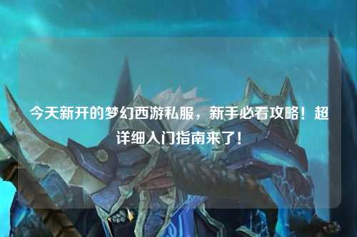 今天新开的梦幻西游私服,新手必看攻略!超详细入门指南来了!