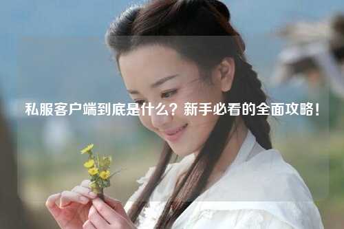 私服客户端到底是什么?新手必看的全面攻略!