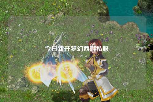 今日新开梦幻西游私服